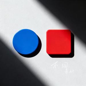 不同 (Cover Nickialynn)