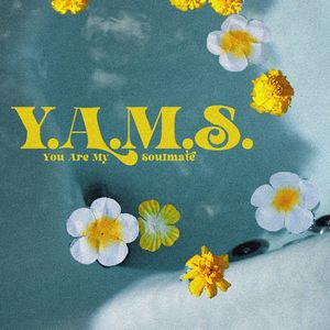 Y.A.M.S. (You Are My Soulmate)