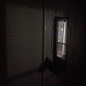 As I Drift In The Ink of A Poets Dream