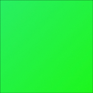 PUDGY (Cover)