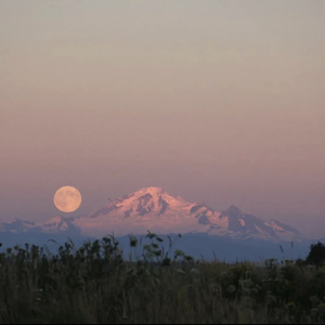 不明不白—粥粥专属