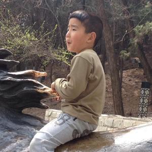 LXⅩⅣ中华圣贤经《圣经》【柒拾肆】宁做蚂蚁腿 不学麻雀嘴 少壮不努力 老大徒伤悲 醒者自言我醉