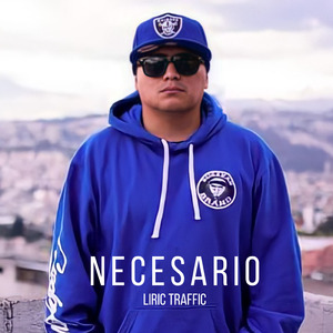 Necesario