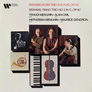 Horn Trio in E-Flat Major, Op. 40:I. Andante