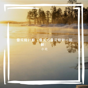 雪花陪我醉（雪花呀雪花陪我一起醉）