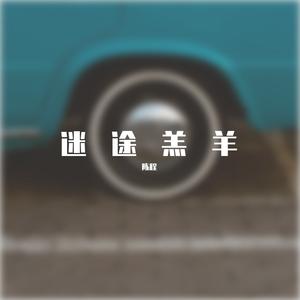 张震岳-迷途羔羊（陈程 remix）