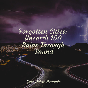 Echoes of a Broken Promise