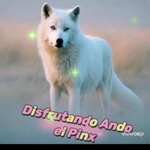 Disfrutando ando