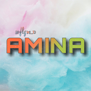 AMINA