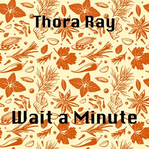 Wait a Minute (Speed Up)