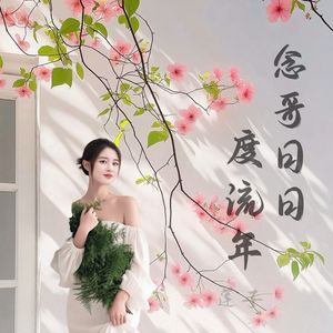 念哥日日度流年