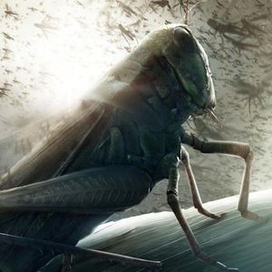 追梦赤子心【追星虫子心】