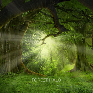 Warm Embrace (Ambient Sleep)