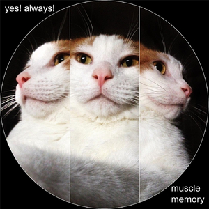 Tautology (Dance Floor Logic)