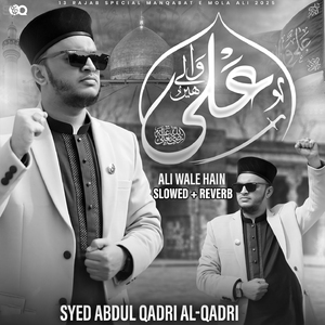 Ali Wale Hain (Lofi-Mix)