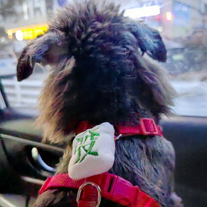 懵懂（Prod.Lisure)