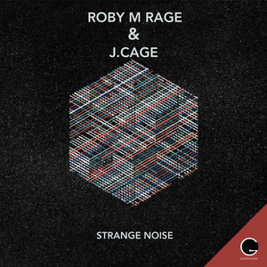 Strange Noise (Original Mix)