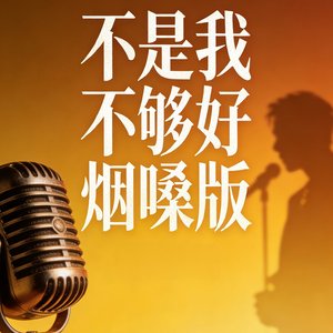 不是我不够好烟嗓版.mp3