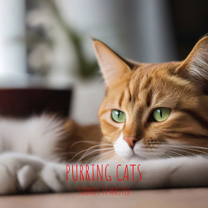 Purring