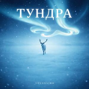 Тундра