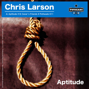 Aptitude (Original Mix)