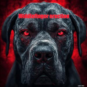 Middle finger erection