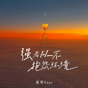 强者从不抱怨环境