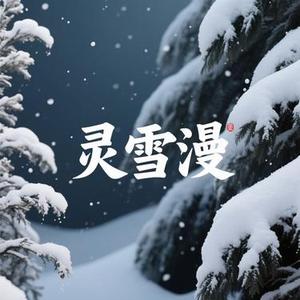 灵雪漫 (风无念 Remix)