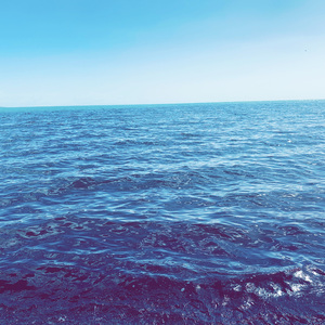 余白 （Echo Version）