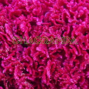 Estoy Solo con Tu Recuerdo