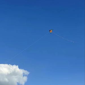 爱丽丝梦游仙境