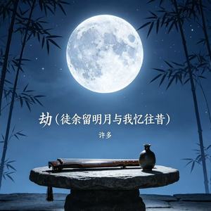 劫（徒余留明月与我忆往昔）
