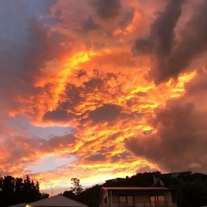 新年福气舞(BGM版)