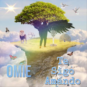 Te Sigo Amando