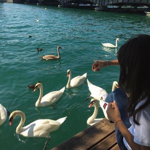 “Guitar” type beat