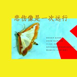 悲伤像是一次远行