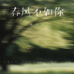 春风不如你