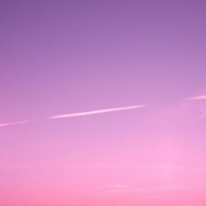 世间美好与你相遇