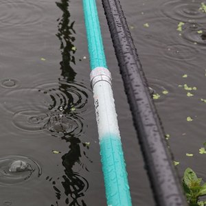 河边三毛