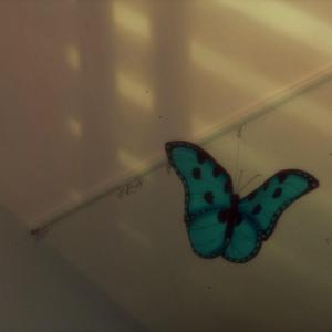 where did i go wrong?