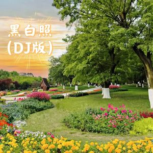 黑白照（DJ版）