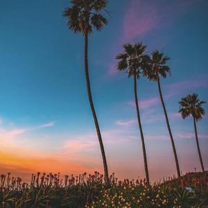 用情至深（DJ版）