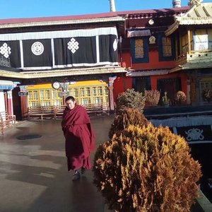 几番波折经风雪