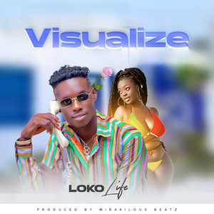 Visualize
