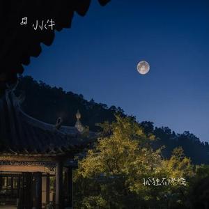 孤独在燃烧