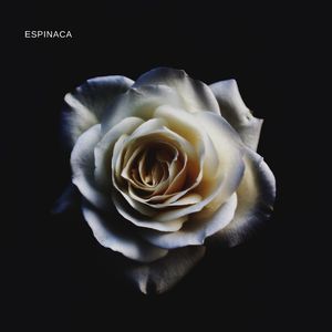 Espinaca