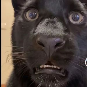 白板(prod.by XVIBE)