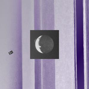 Week(s) without Report