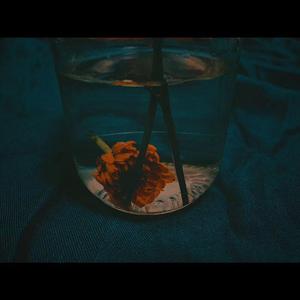 Resistance（Prod by SamueWang）