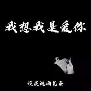 我想我是爱你